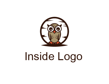 circle behind owl with big eyes