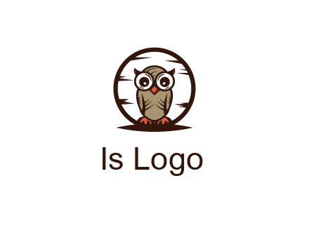 circle behind owl with big eyes