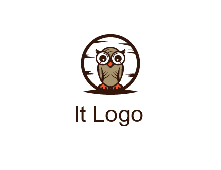 circle behind owl with big eyes