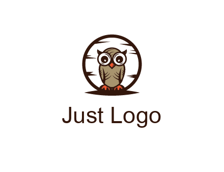 circle behind owl with big eyes