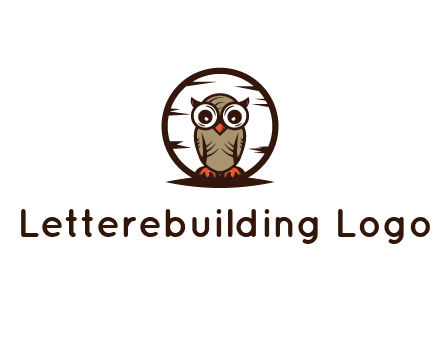 circle behind owl with big eyes