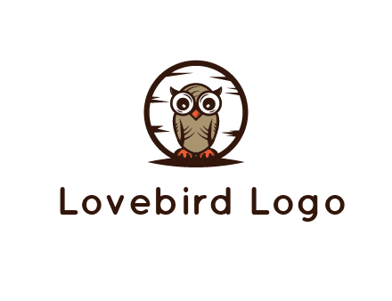 circle behind owl with big eyes