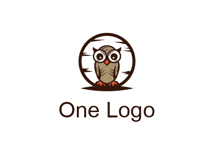 circle behind owl with big eyes