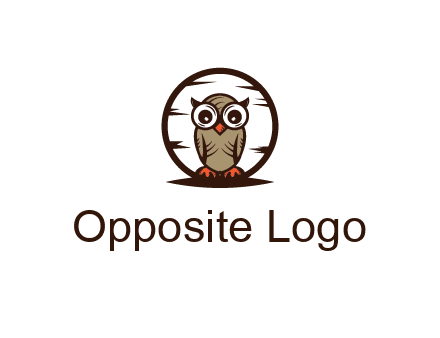 circle behind owl with big eyes