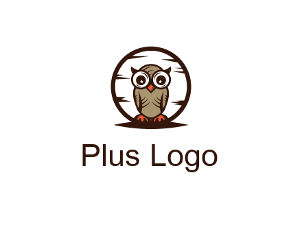 circle behind owl with big eyes