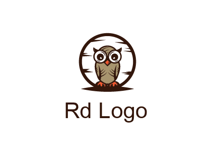 circle behind owl with big eyes