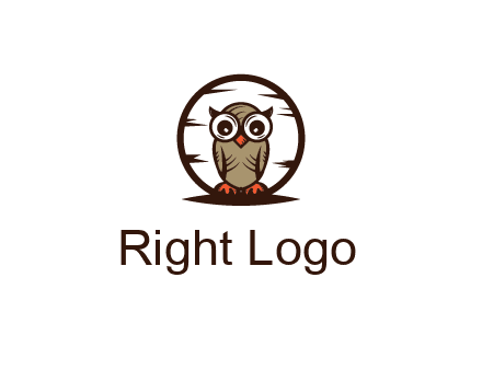 circle behind owl with big eyes