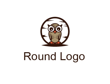 circle behind owl with big eyes