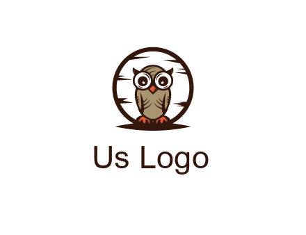 circle behind owl with big eyes