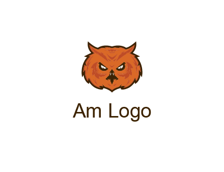angry looking owl face