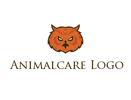 angry looking owl face