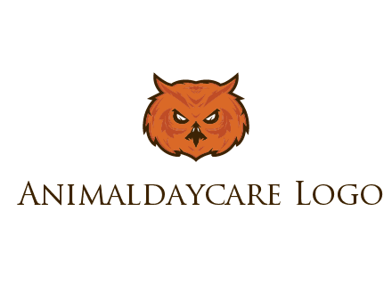 angry looking owl face