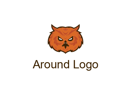angry looking owl face