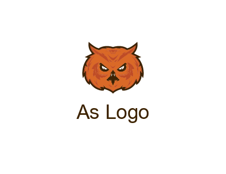 angry looking owl face