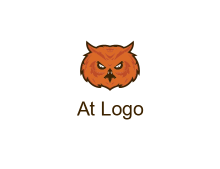 angry looking owl face