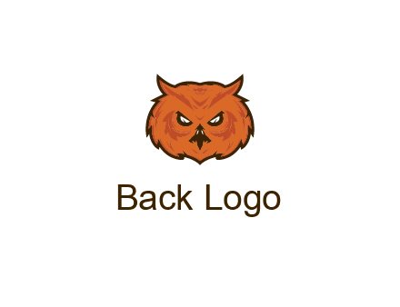 angry looking owl face
