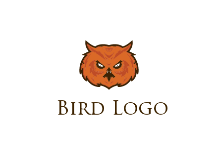 angry looking owl face