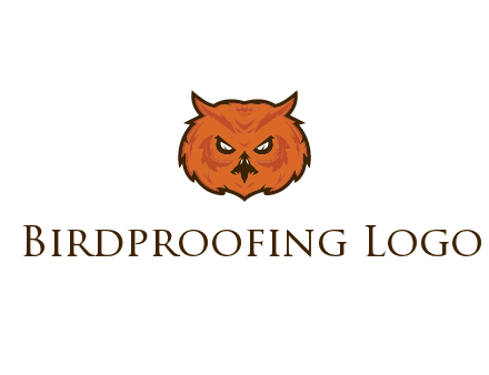 angry looking owl face