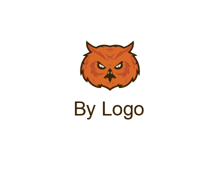 angry looking owl face