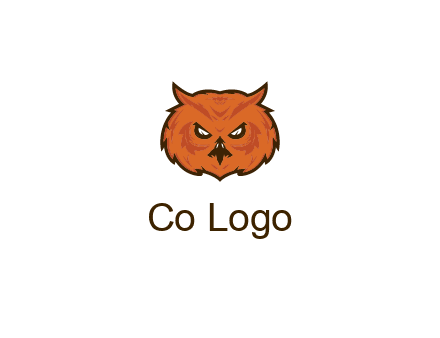 angry looking owl face