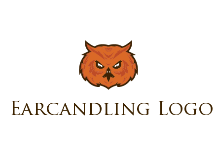 angry looking owl face