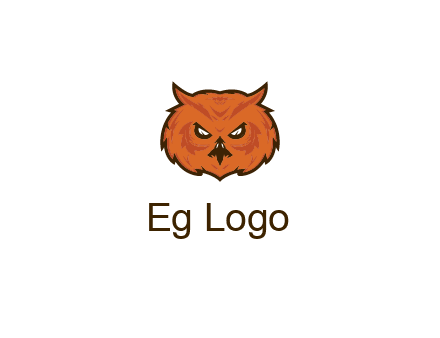 angry looking owl face