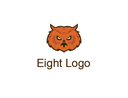 angry looking owl face