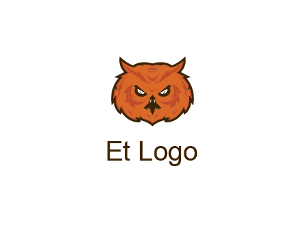 angry looking owl face