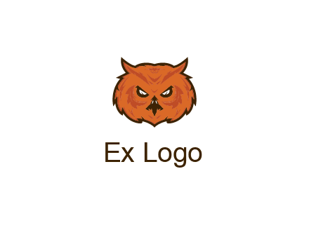 angry looking owl face