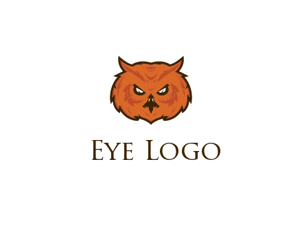 angry looking owl face