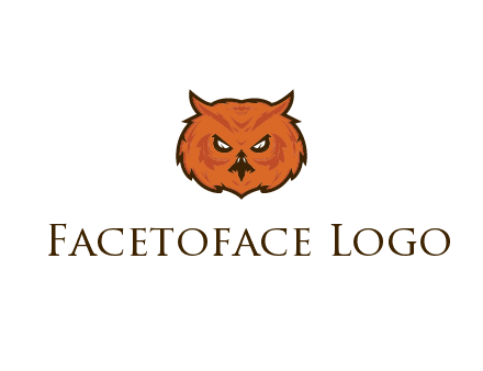angry looking owl face