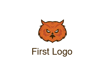 angry looking owl face