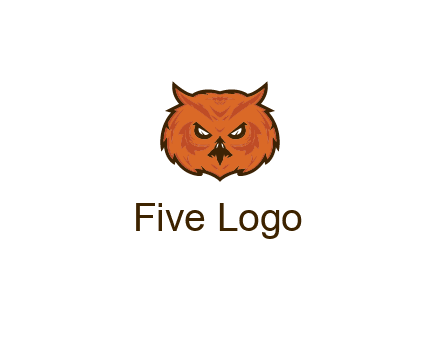 angry looking owl face