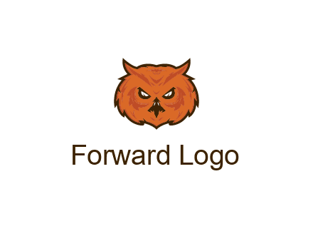 angry looking owl face