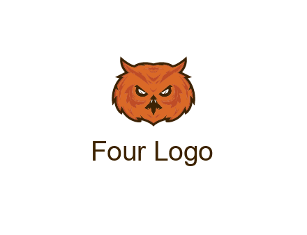 angry looking owl face