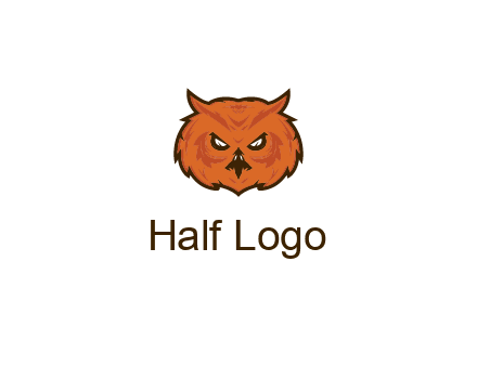 angry looking owl face
