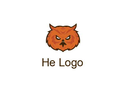 angry looking owl face