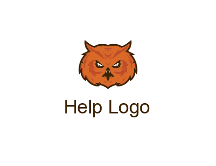 angry looking owl face
