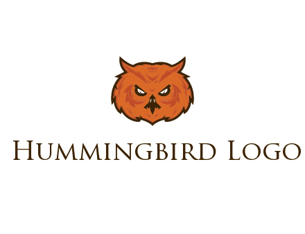 angry looking owl face