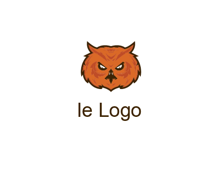 angry looking owl face