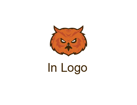 angry looking owl face