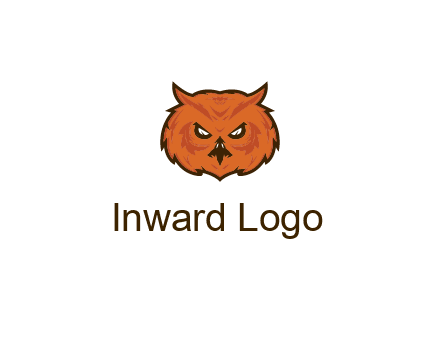 angry looking owl face