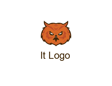 angry looking owl face