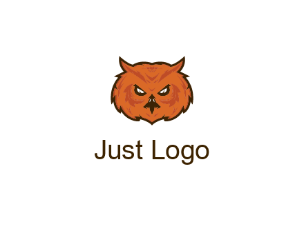 angry looking owl face