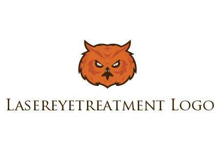 angry looking owl face