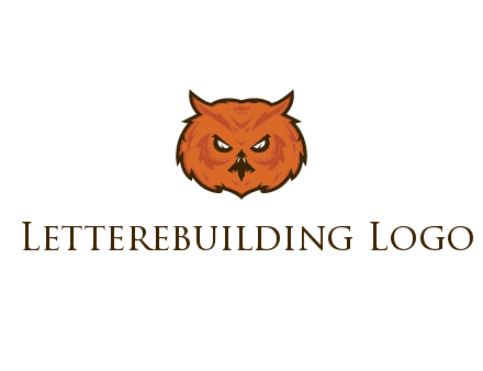 angry looking owl face