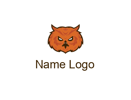 angry looking owl face