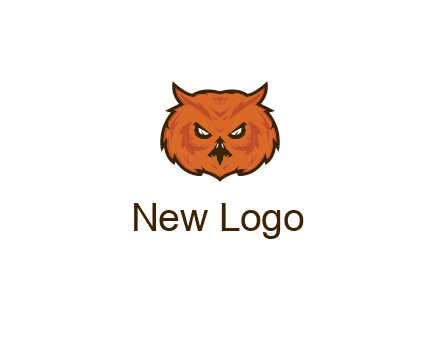angry looking owl face
