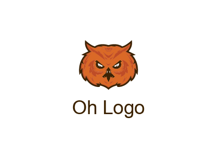 angry looking owl face
