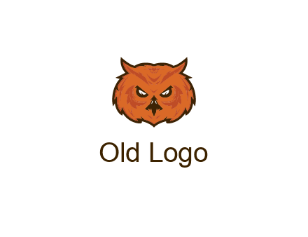 angry looking owl face